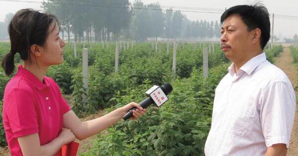 葛章春董事长接受中央电视台（走基层）栏目组来访