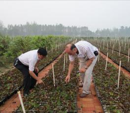 新技术实验苗圃